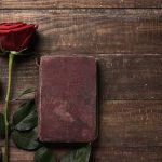 Sant Jordi: una rosa y un Libro