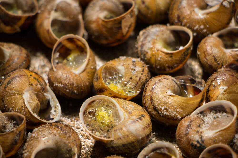 escargots lleida lerida