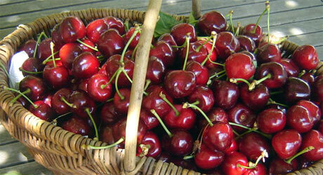 panier fruit cerise