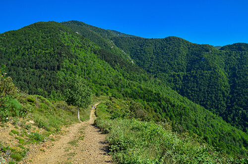 sport nature canigou