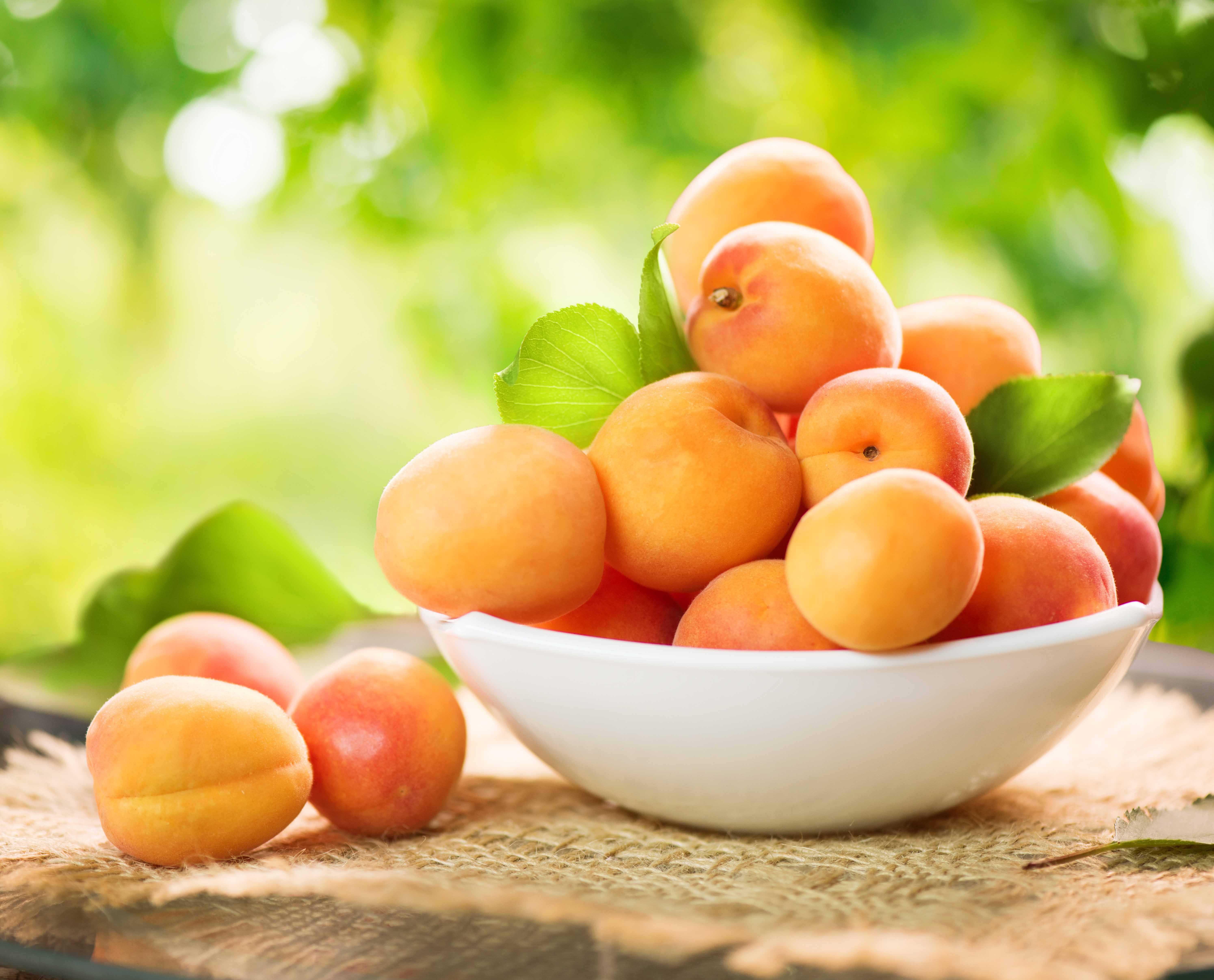 fruit abricot panier