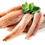 Las Anchoas, Especialidad de la pesca Catalana