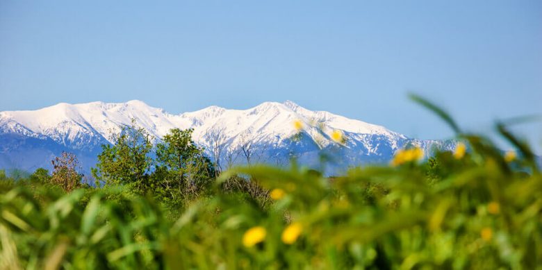 canigou nature neige montagne