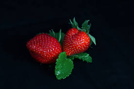 dessert fruit fraise