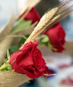 sant jordi rose tradition