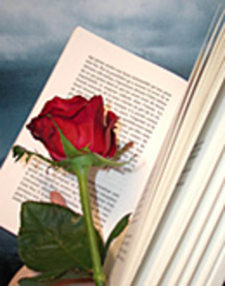 sant jordi livre rose