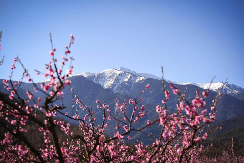 pyrénées orientales séjour vacances montagne