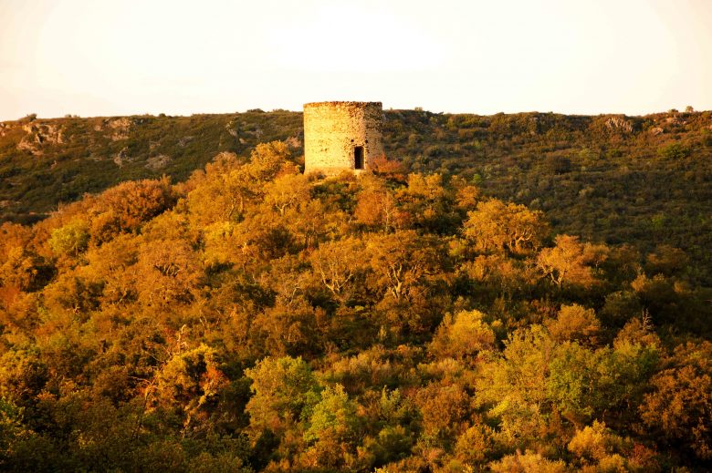 panorama nature tour castelnou