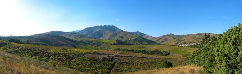 panorama vignes vin banyuls po