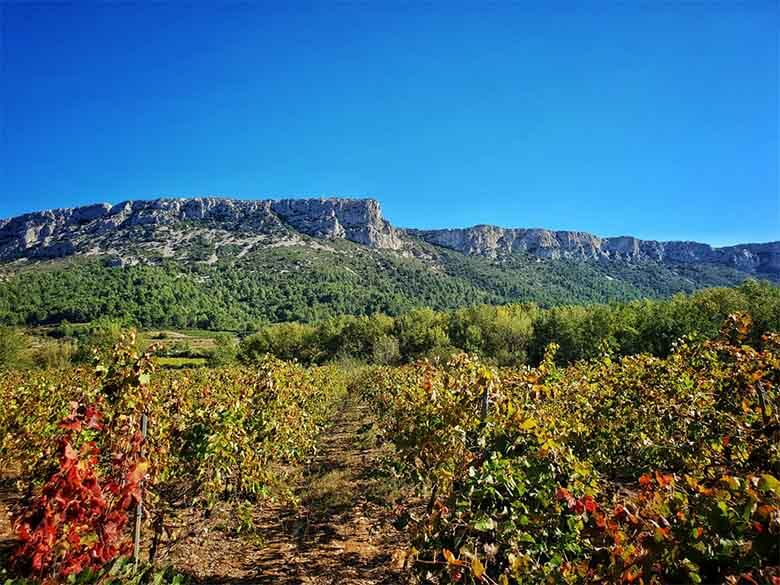 Tautavel Pyrénées Orientales