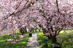 Pyrénées orientales jardin