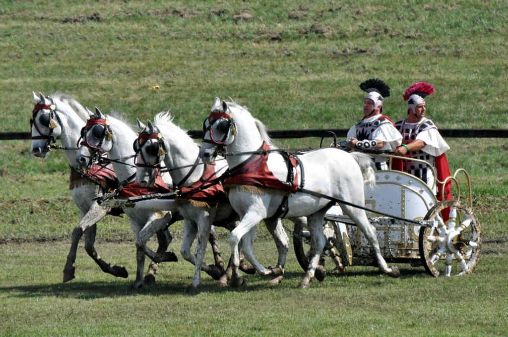 combats_Pyrénées Orientales