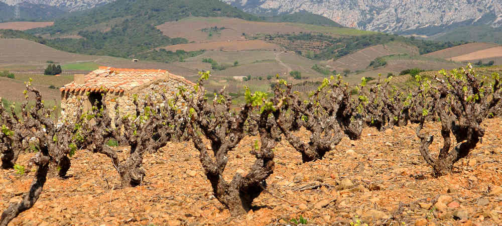 casot la vallée de l’Agly Pyrénées orientales Occitanie