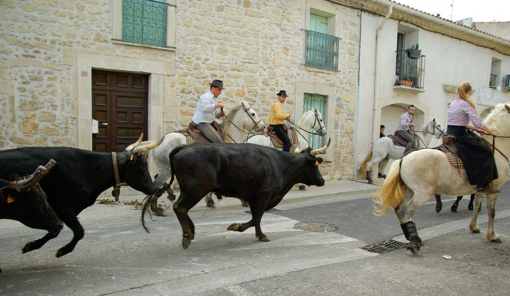 céret tradition taurine