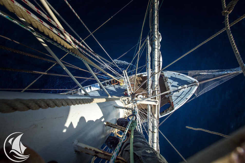 port-vendres-pays catalan occitanie bateau