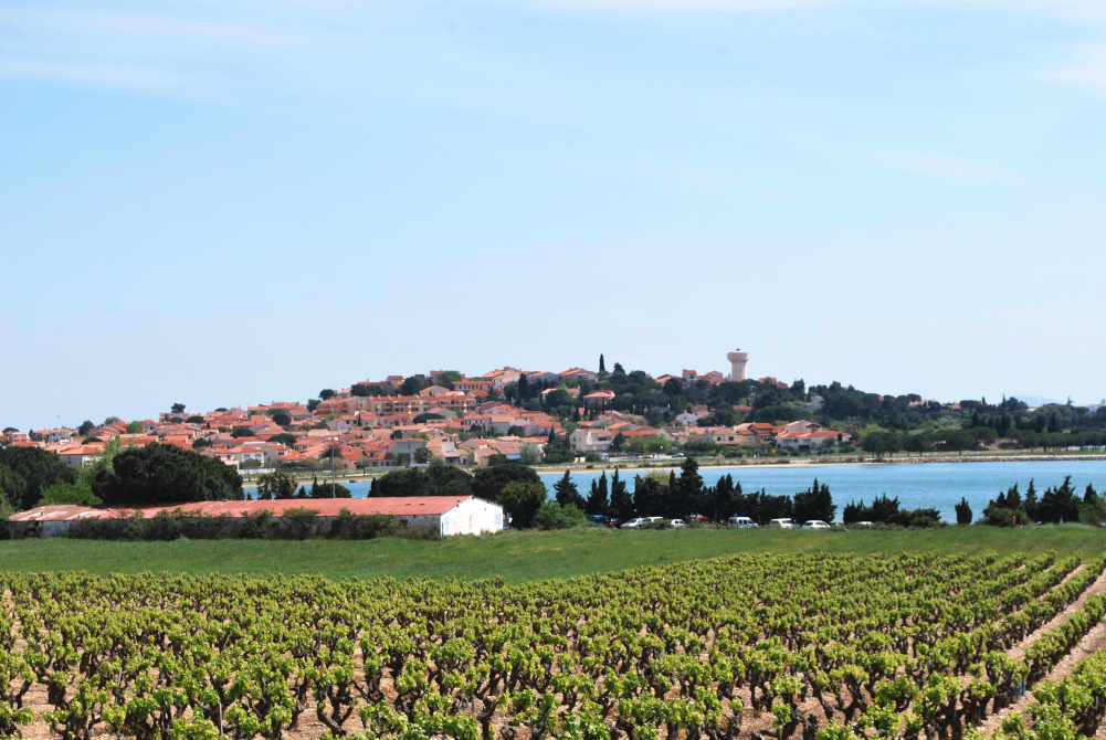 village pyrénées orientales pays catalan