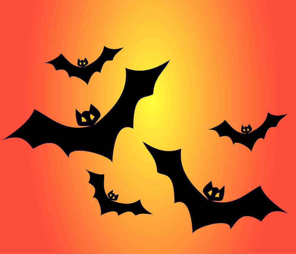 halloween dessin chauve souris pyrénées orientales