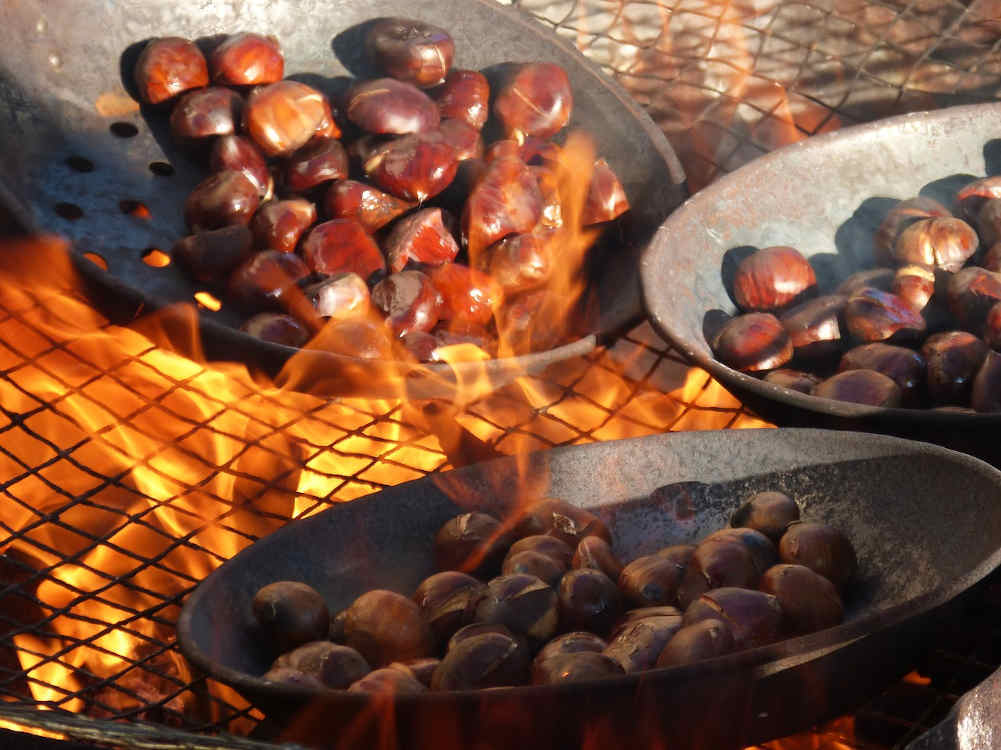 feu barbecue chataigne grill tradition