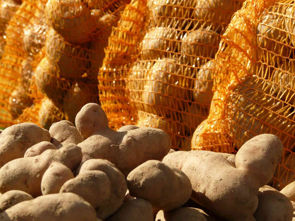 patates sachets marché terroir 66