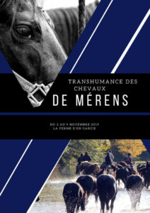 chevaux de merens