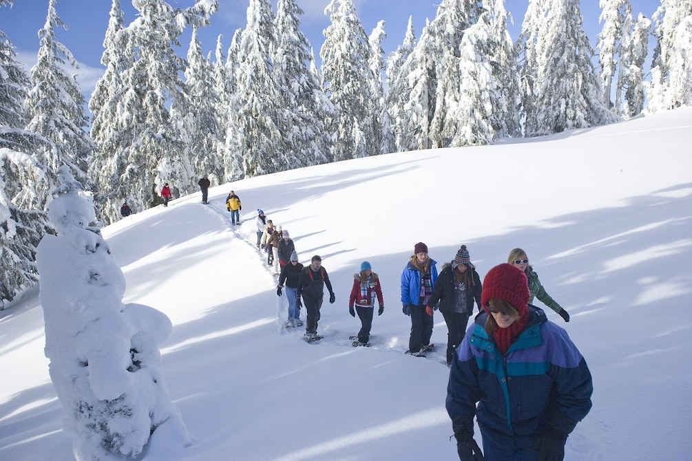 montagne raquettes randonée