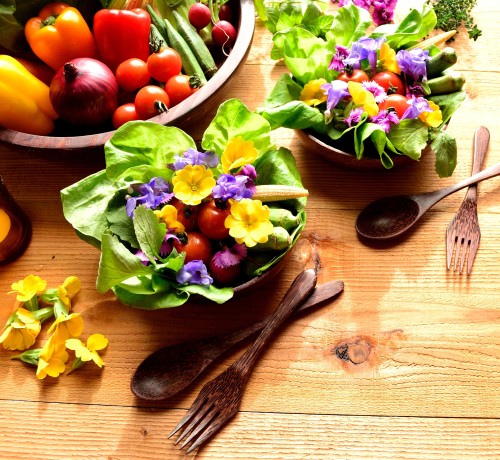 pyrénées orientales atelier gastronomie nature