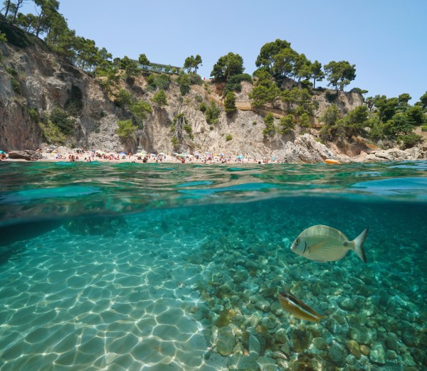 activité vacances famille plongée poissons catalogne