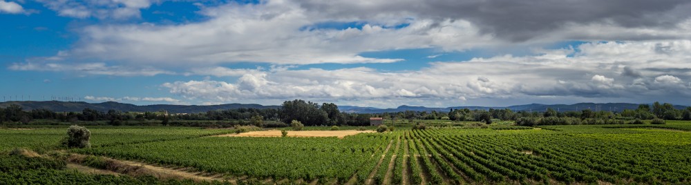 paysages occitanie gastronomie