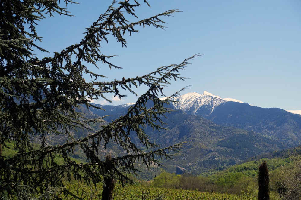 canigou paysage pays catalan