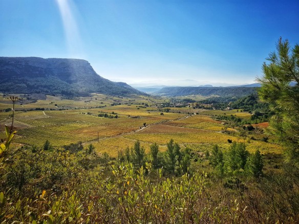 vue vingrau pays catalan