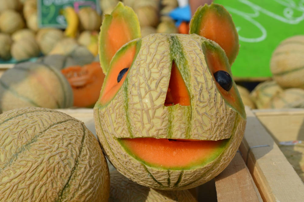 melon fun marché producteurs locaux