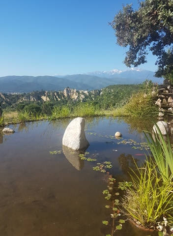 paysage natur'aile