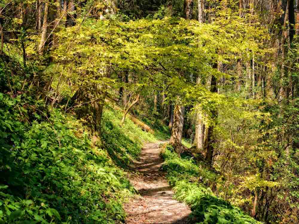 pyrénées orientales pays catalan nature environnement