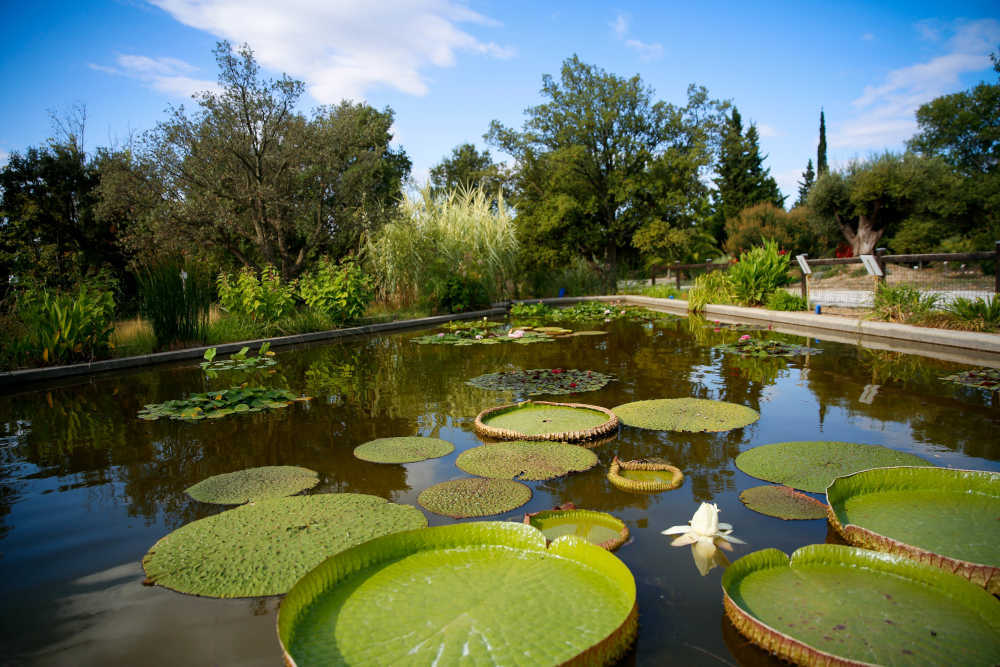 arboretum canet