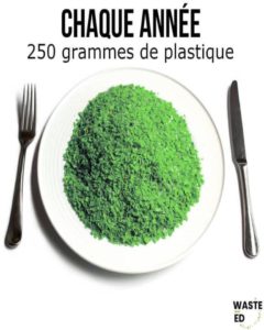 quantité plastique année