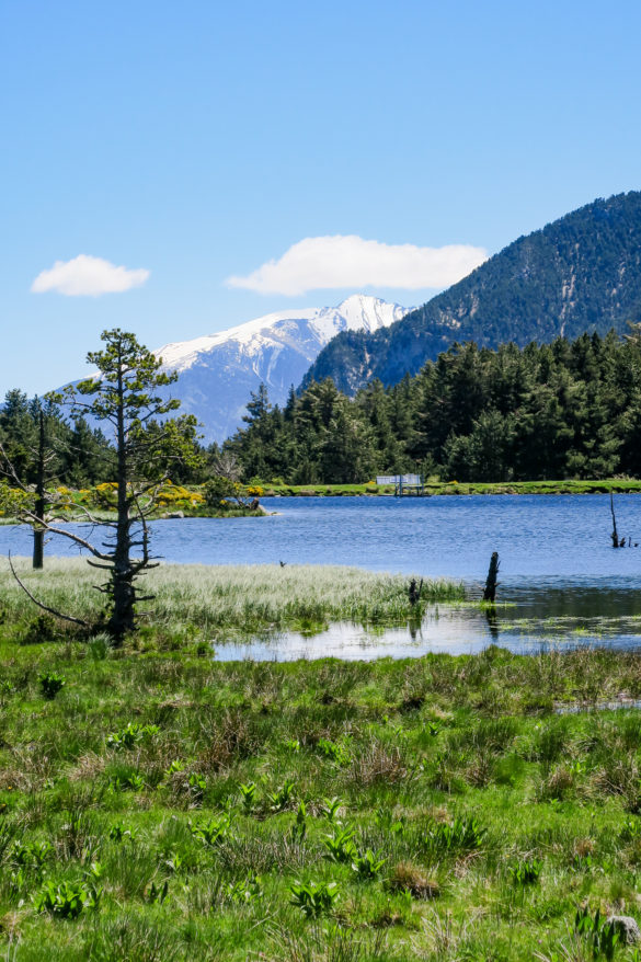 estany del clot Nohedes