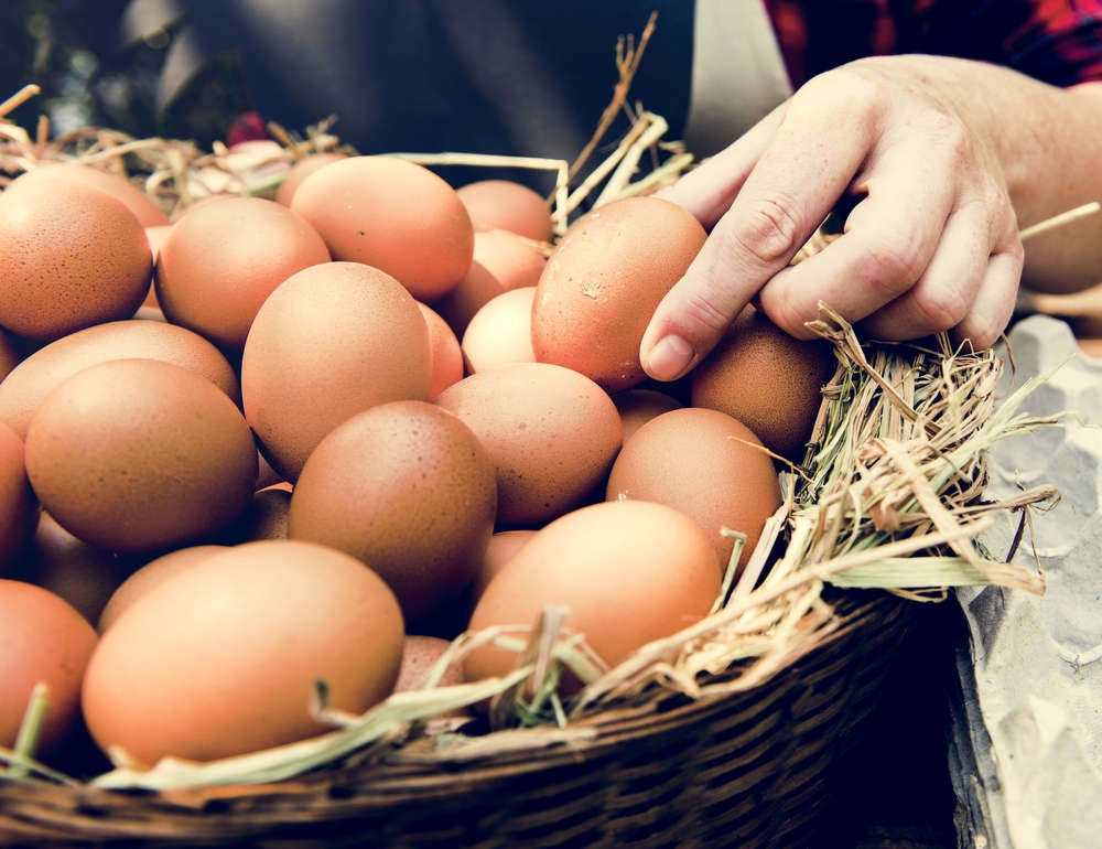 producteurs locaux produits de la ferme