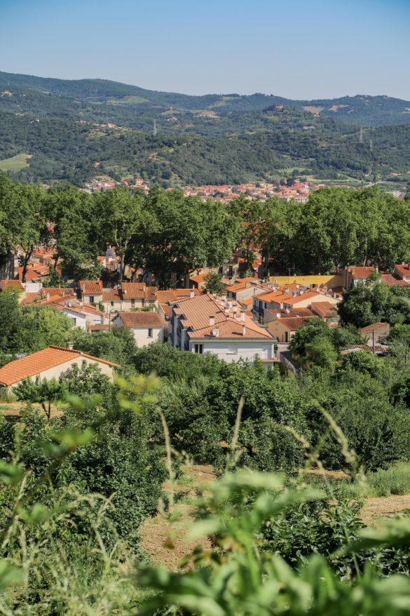 ceret vallespir pyrénées orientales