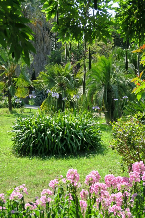 jardin des plantes de saint cyprien