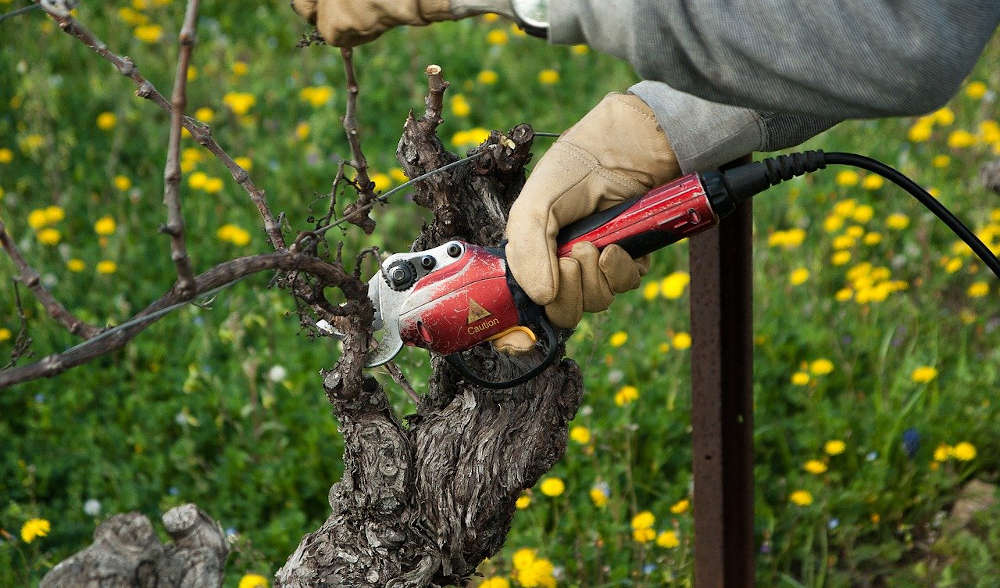 occitanie vignoble balade oenotouristique