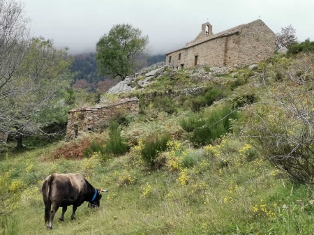 nature montagne Pyrénées Orientales