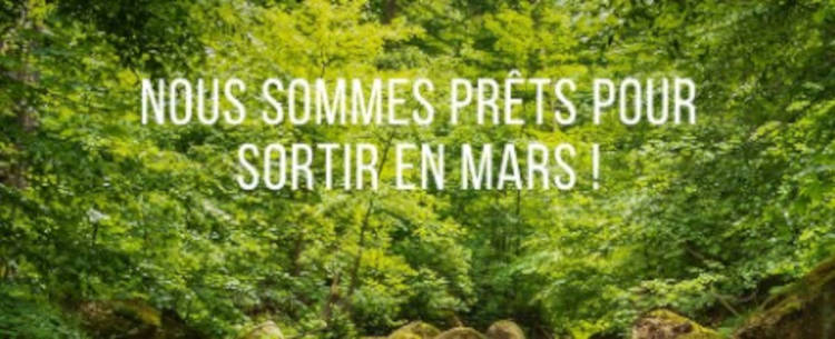 randotrement activités forêt