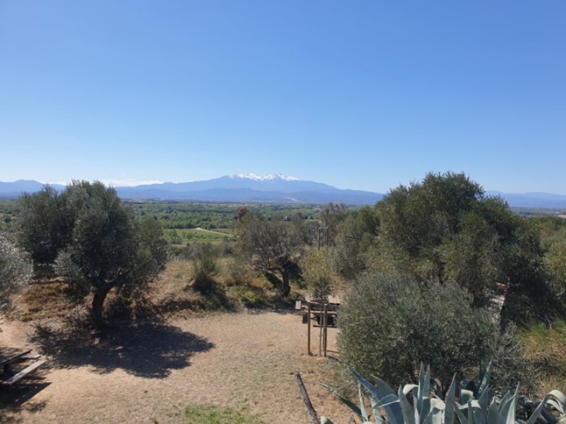 parc perpignan vue canigou