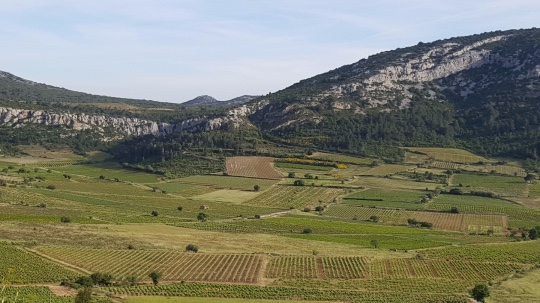 pays catalan