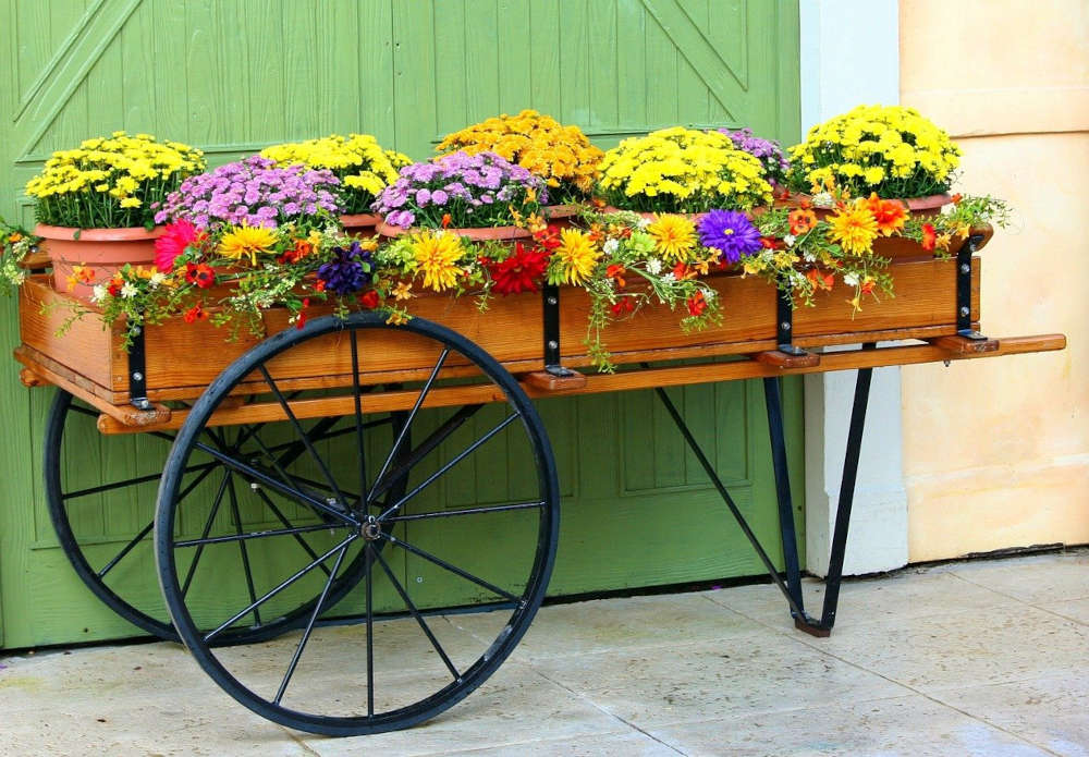 marché producteur pépinieristes fleuristes