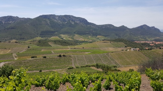pays catalan