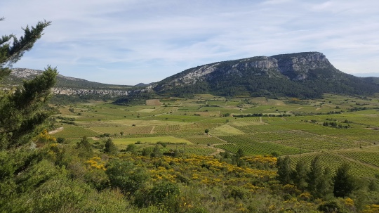 pays catalan