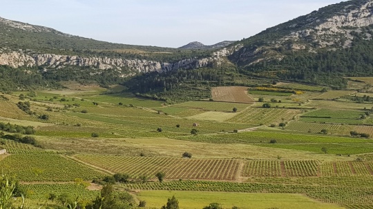 pays catalan