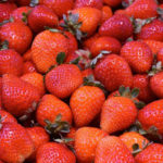 Fresa, el Comienzo de la Primavera