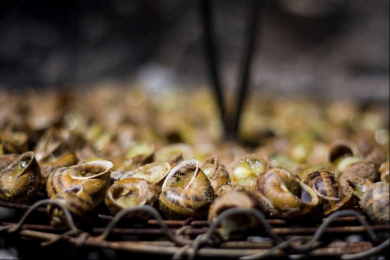 Escargot Pays Catalans festivités